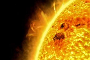 NASA: на Солнце выросла «живая изгородь»