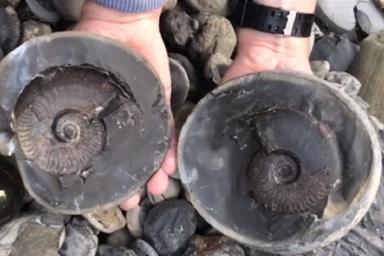 Студент случайно нашел уникальный древний артефакт
