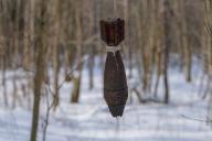 Мину времен войны нашли при прокладке коммуникаций в Гродно