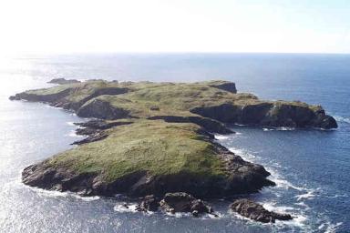 В Ирландии продают необитаемый остров за 1,4 млн долларов