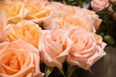 Названы цены на тюльпаны и розы к 8 Марта 