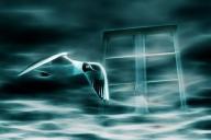 Гороскоп на 20 февраля 2019 года для всех знаков Зодиака