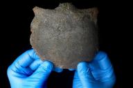 На дне реки Темзы нашли фрагмент черепа мужчины, возраст которого больше пяти тысяч лет