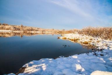 До 17 сантиметров за сутки – рост уровня воды в реках Беларуси