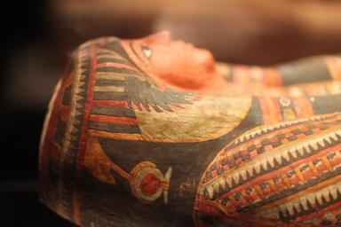 В печени 375-летней мумии обнаружили паразитов
