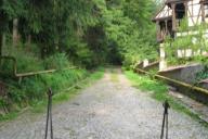 В Минске хотят обустроить экотропы