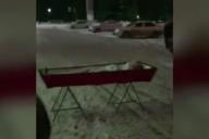 Женщина привезла гроб с телом мужа к зданию правительства