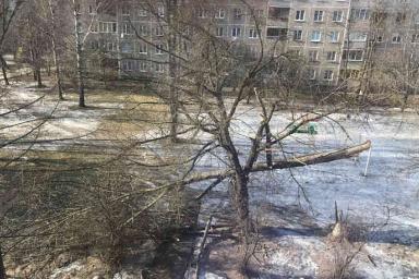 В Минске сильный ветер сорвал навес с остановки и сломал дерево