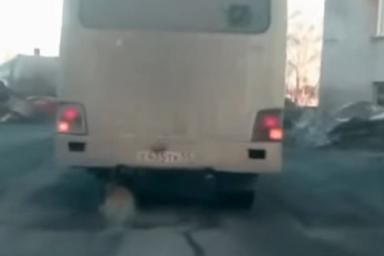 Водитель автобуса заменил колесо бревном и поехал
