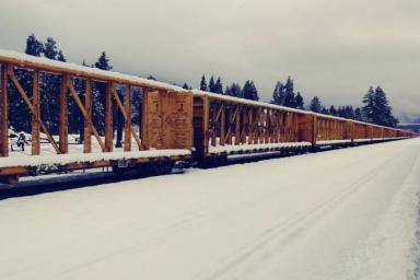 Пассажирский поезд в США простоял 36 часов из-за снегопада