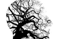 Ученые предложили неожиданный метод лечения болезни Паркинсона