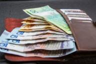 Мозырянка подобрала утерянный кошелек, возбуждено уголовное дело