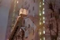 Мужчина забрался на дерево, чтобы извиниться перед женой, и не смог слезть 