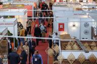 Крупная выставка мебели стартует в Минске 