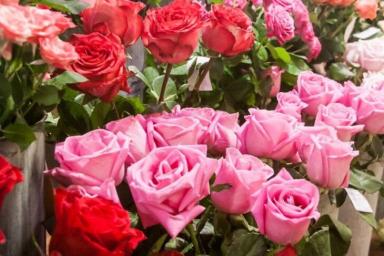 Дополнительные места для продажи роз и тюльпанов открываются в Минске