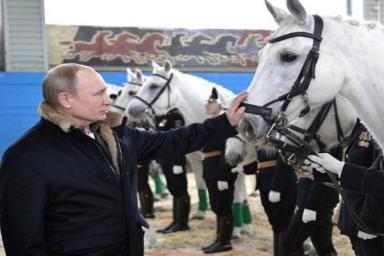 «Испугался и поехал задом»: у Путина произошел конфуз с конем