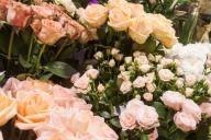 В Гомеле ГАИ готовит Сюрприз для автоледи