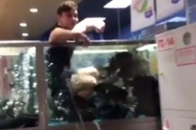 В Татарстане студент залез в аквариум с рыбами в гипермаркете «Лента»