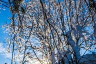 Погода в Гомеле и области на 11 марта 2019 года