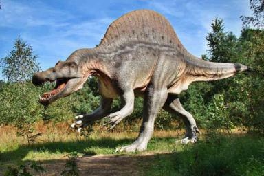 Ученые: новый вид динозавров открыт в Австралии