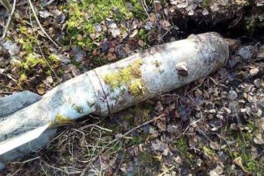 В Столинском районе на бывшем военном полигоне обнаружены авиаснаряды