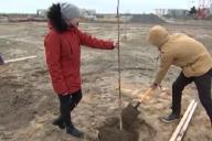 В Брест приехали журналисты и посадили с мэром много деревьев 