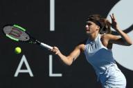 Соболенко и Мертенс вышли в 1/2 финала турнира в Индиан-Уэллсе