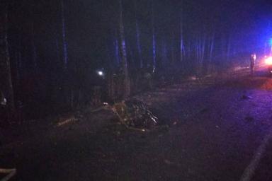 Два пассажира BMW погибли в аварии под Солигорском