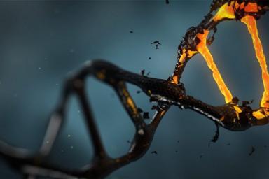 Ученые обнаружили в ДНК человека «выключатель» регенерации