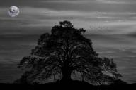 Гороскоп на 18 марта 2019 года для всех знаков зодиака