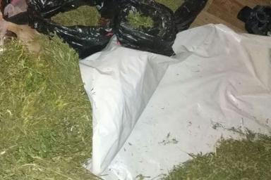 Почти 11 кг марихуаны обнаружили у автовора из Речицы