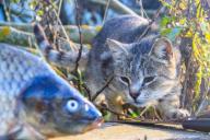 Запрет на ловлю рыбы начинает действовать в двух областях Беларуси с 20 марта