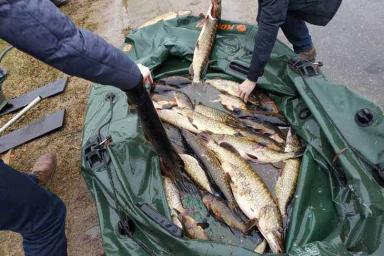 «Нарыбачил» на уголовное дело: в Лидском районе за незаконный улов рыбы задержан житель Березовки