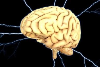 Ученые вырастили в лаборатории мини-мозг, который самостоятельно связался с мышцами