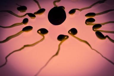 Медики разгадали секрет «плавательного мастерства» сперматозоидов