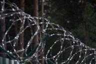 Латвия возвела на границе с Россией 93-километровый забор