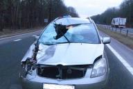 Легковушка насмерть сбила женщину на трассе М1 в Дзержинском районе