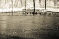 Прогноз погоды по Беларуси на 25 марта 2019 года