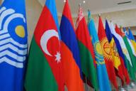 Гуминский: странам СНГ будет сложно составить объективную картину выборов в Украине