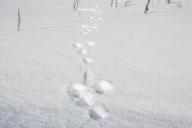 Лавина унесла жизни двух человек