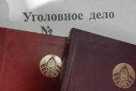 В Гомеле возбуждено уголовное дело в отношении водителя