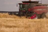 На Гродненщине проверили аграриев и возбудили 5 уголовных дел