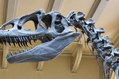 Ученые предрекают человечеству гибель по сценарию динозавров