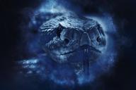 Ученые зафиксировали, как крысы-кенгуру наказывают своих обидчиков