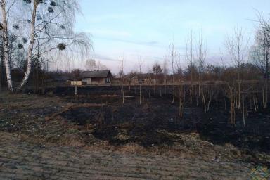 В Калинковичском районе пенсионерка получила ожоги при тушении травы