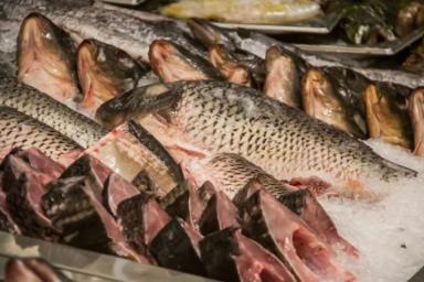 Охранник рыбного предприятия на Березовщине украл с работы полтонны рыбы