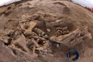 Учёные нашли место падения астероида, погубившего динозавров