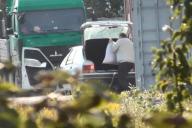 Установлено 54 эпизода в деле о незаконном обороте мака и маковой соломы в Беларуси