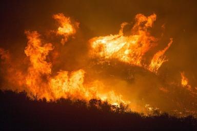 Лесные пожары бушуют в Южной  Корее: под угрозой 5 городов  