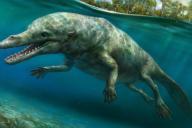 Палеонтологи обнаружили останки древнего четвероногого кита